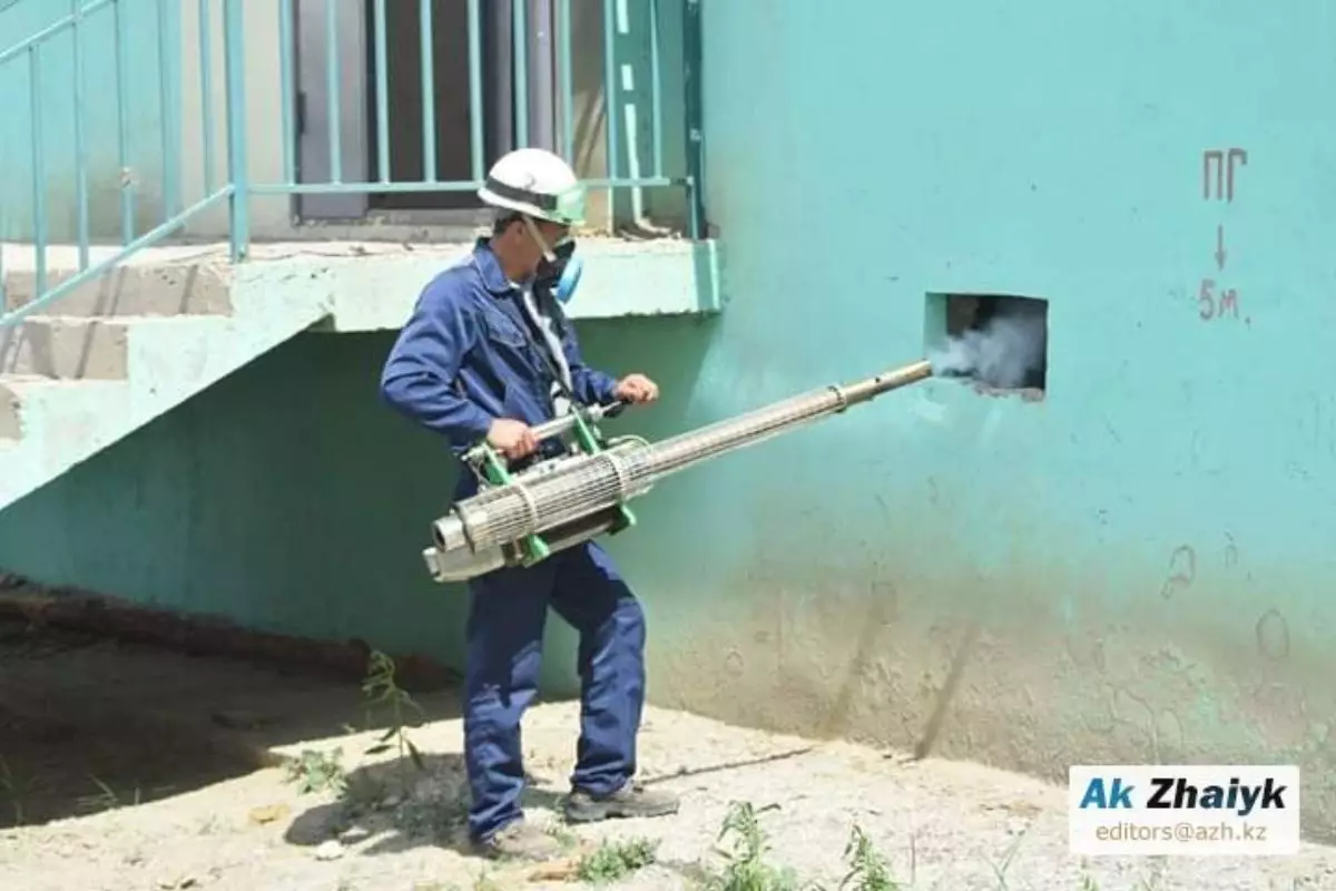 ​Ждём комаров — потом думаем: из семи районов Атырауской области только два запланировали обработку