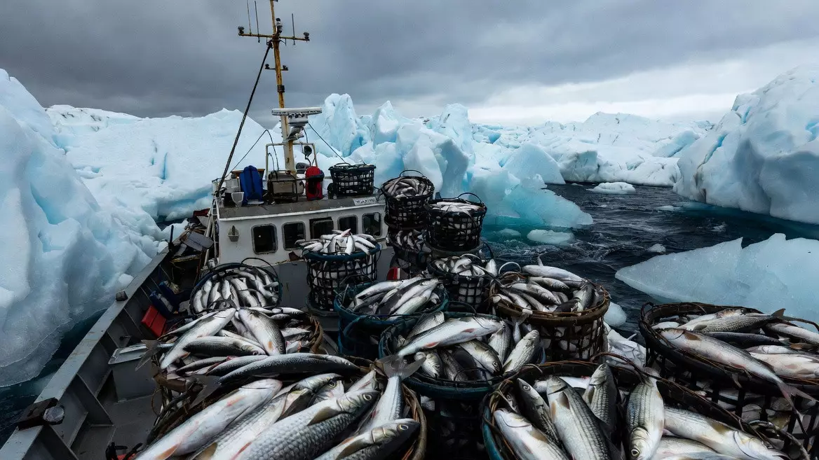 Рыбалка на выживание — реально ли казахстанцу попасть на норвежское судно с зарплатой 7000 евро