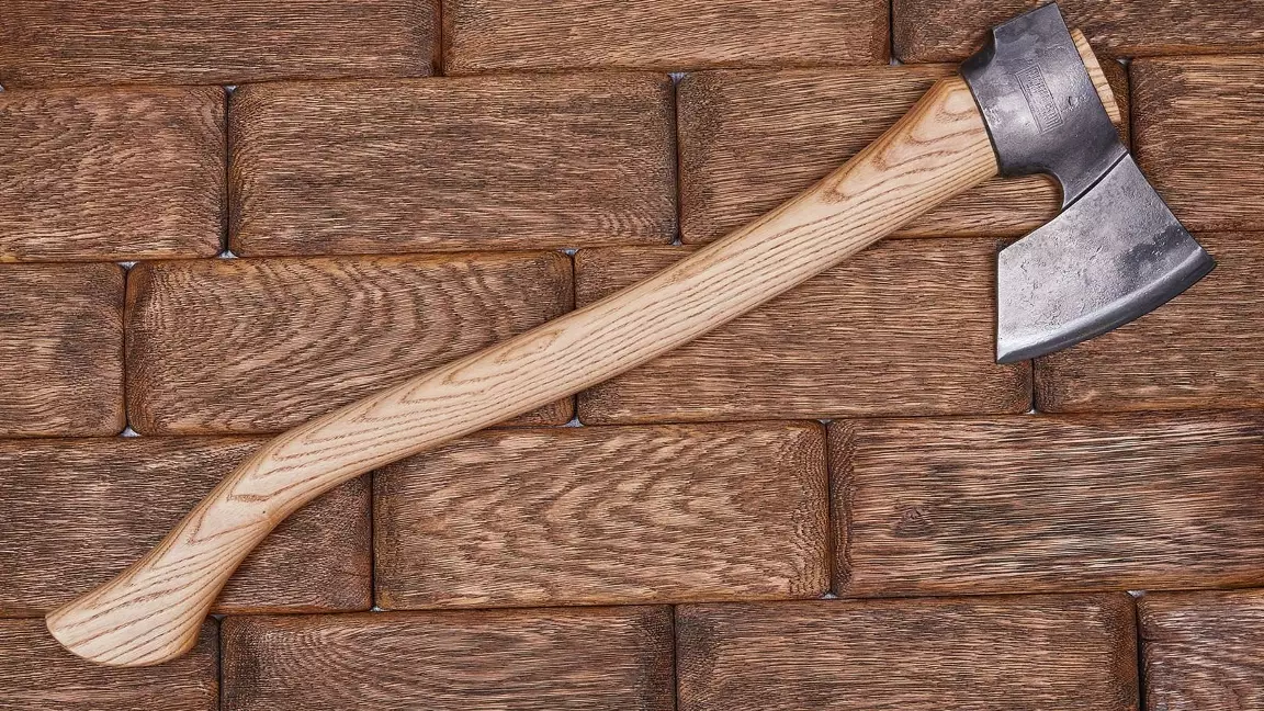 Алматыда оқушы мектепке балтамен келген