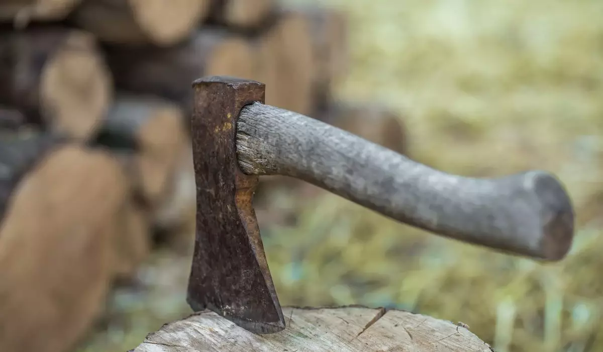 Алматыда оқушы желідегі нұсқаулық бойынша мектепке балта алып келген