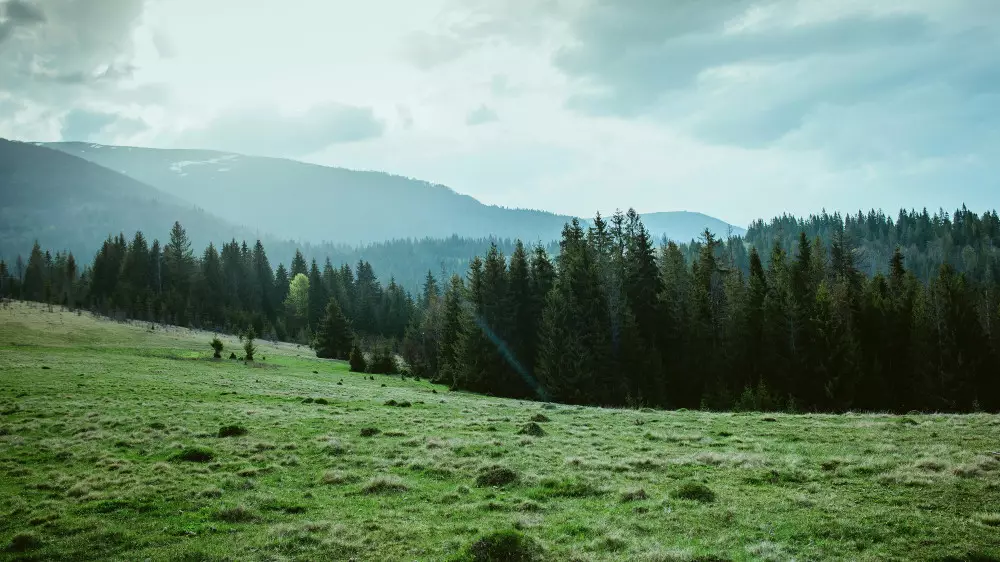 Астану ждёт резкое похолодание, а Алматы - грозы: погода на 25-27 апреля