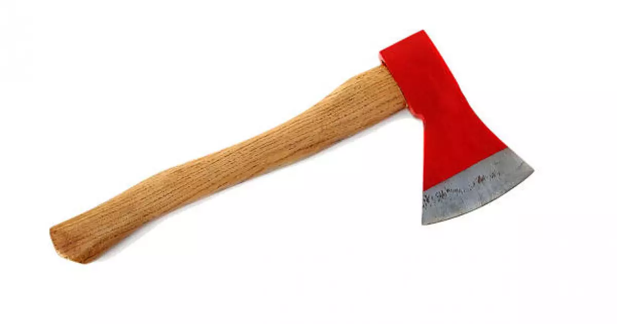  Алматыда қыз бала мектепке балта ұстап келген 