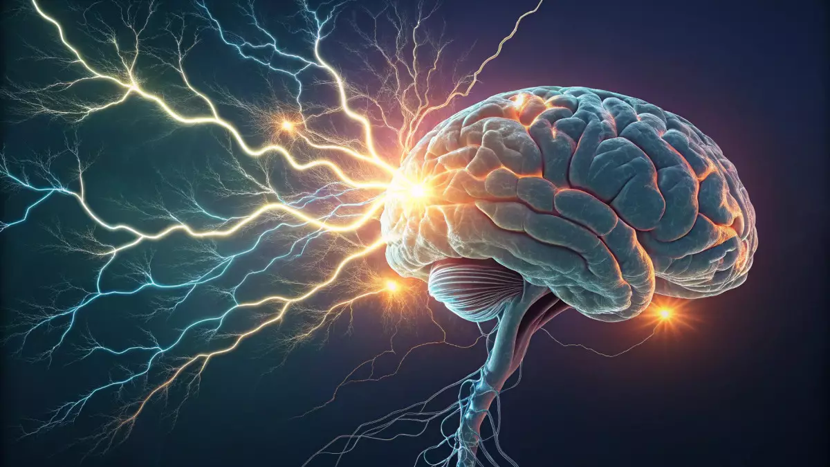 Когда мы умнеем - учёные выяснили, что мозг не заканчивает развитие в 25 лет