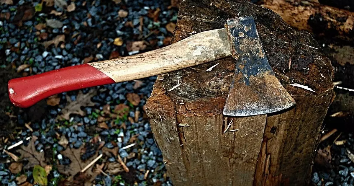  Оқушы әлеуметтік желідегі нұсқау бойынша мектепке балта алып келген 