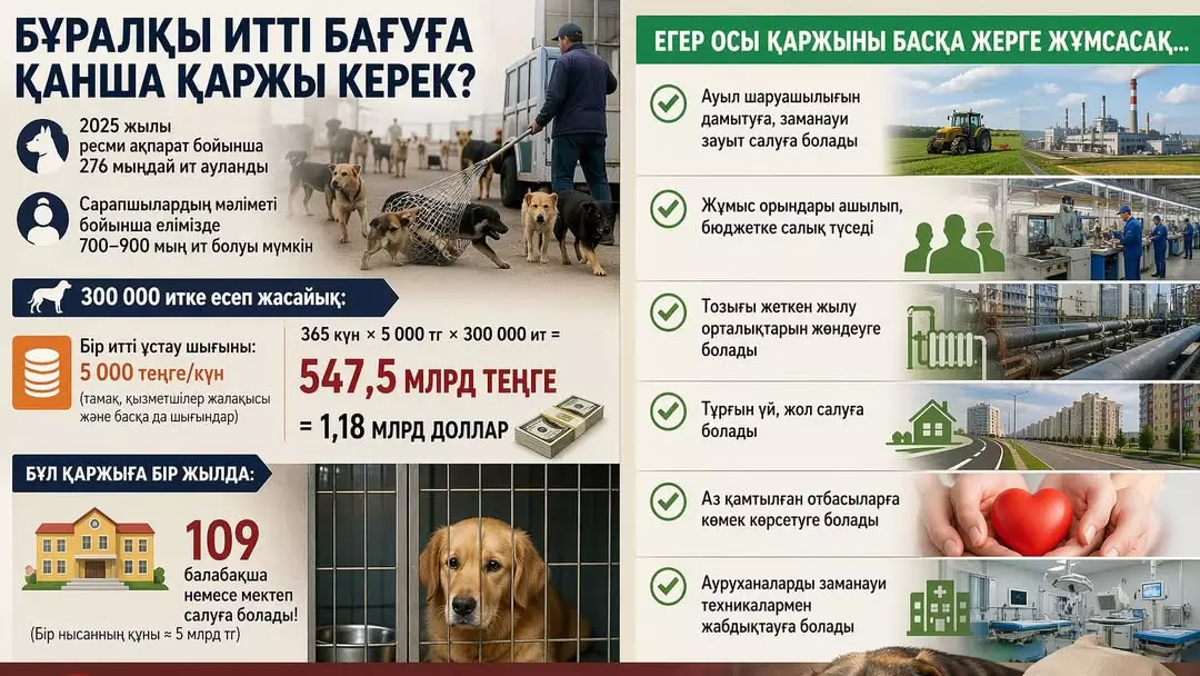 Бұралқы иттерді асырау қанша тұрады? Шығын есептелді