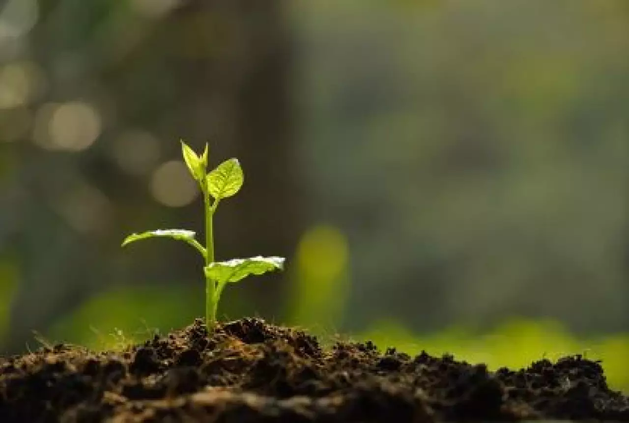 Мировые СМИ о роли регионального экологического саммита в Астане