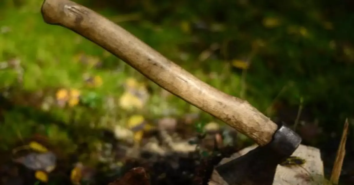  Алматыда мектепке балтамен барған оқушыға қылмыстық іс қозғалды 