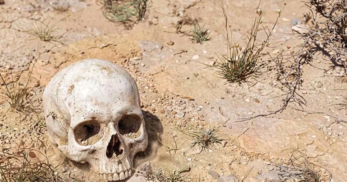  Черепа и человеческие кости в степи: полиция расследует инцидент в Атырауской области 