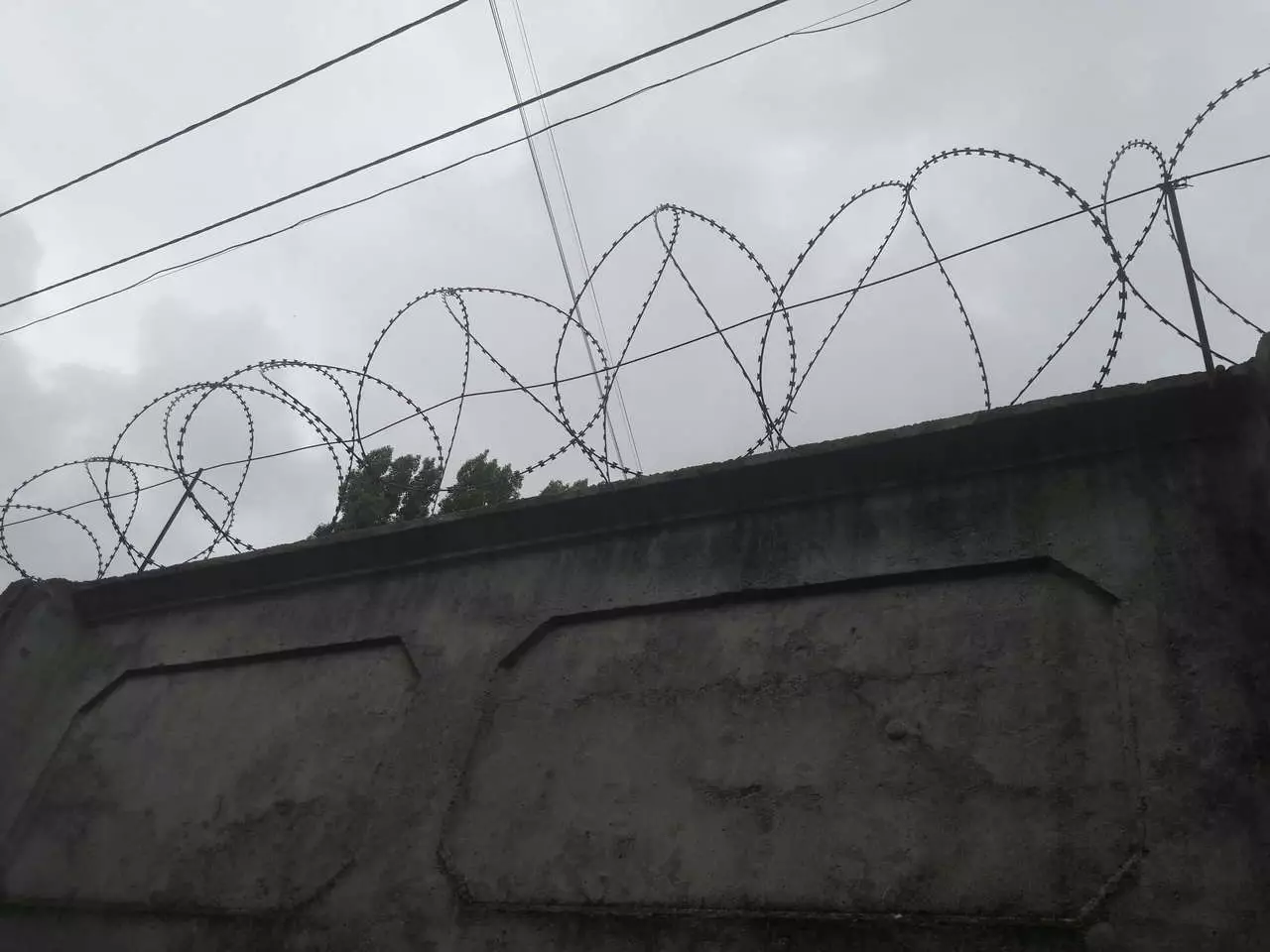 Житель Воронежа осуждён за контрабанду сильнодействующих веществ в Казахстан.