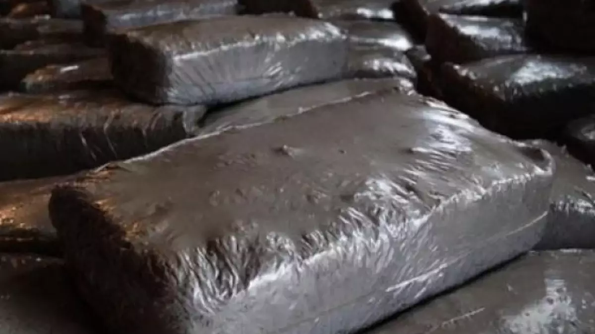 Удмуртия нарастила экспорт грибного субстрата в Казахстан до 218 тонн в 2026 году.