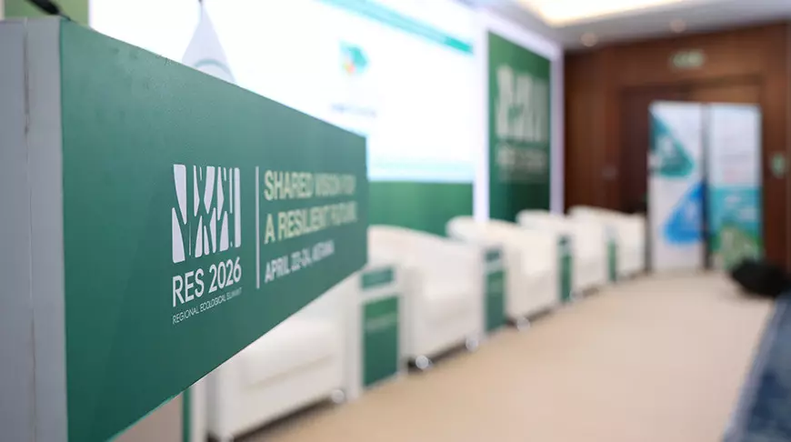 Беларусь и Казахстан сотрудничают в сфере орнитологии с использованием искусственного интеллекта.