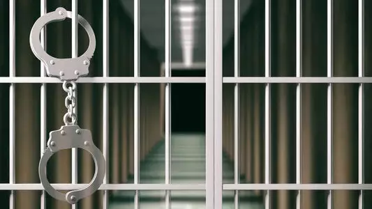 За что фигуранты из двух регионов страны оказались под арестом