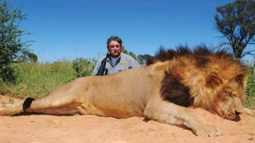 Миллионера из США насмерть затоптали слоны во время охоты в Африке