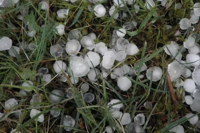 25–27 сәуірде кей өңірлерде бұршақ пен қатты жел күтіледі