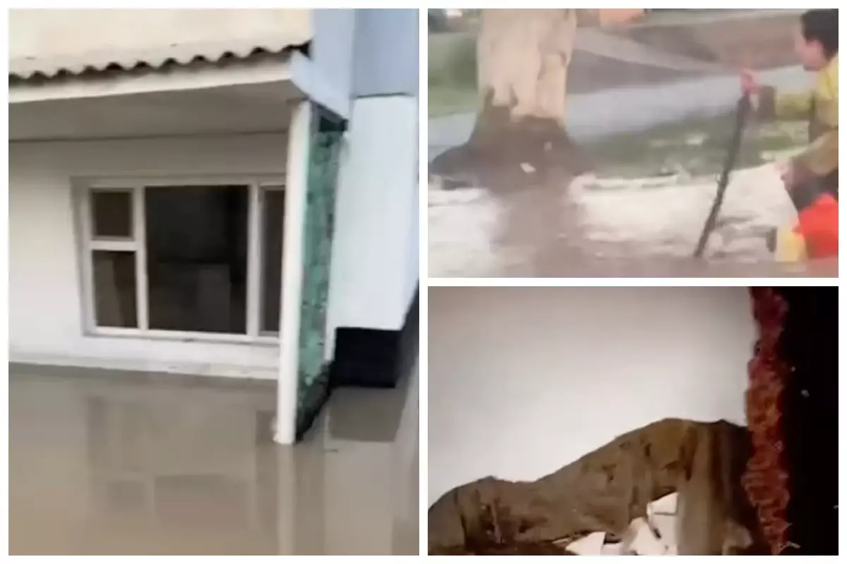 Кентауда нөсерден кейін үйлерді су басып, тұрғындар шығынға батты