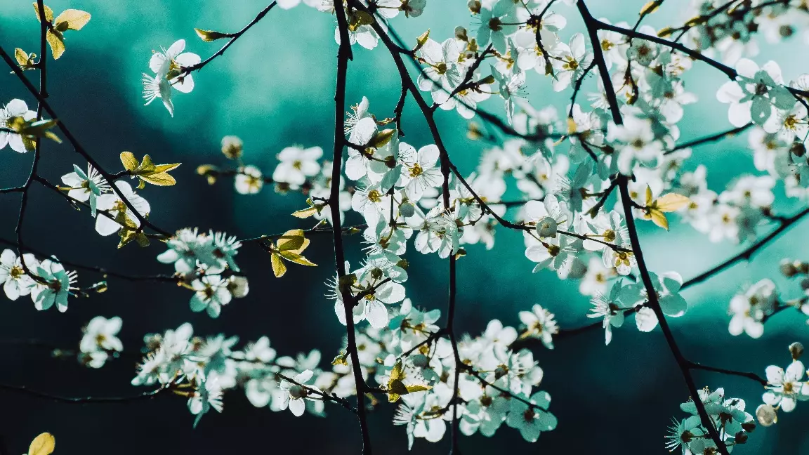 Бүгін ауа райы қандай болады?