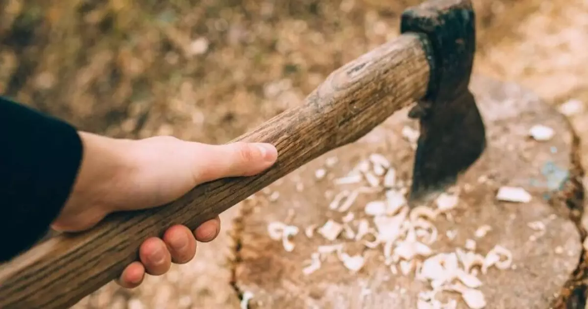  Алматыда оқушы шабуыл жасамақ болып, мектепке балтамен келген 