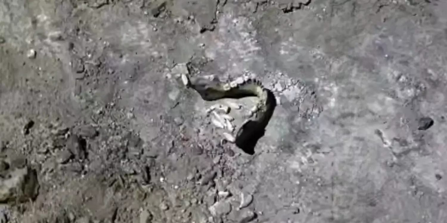 ШҚО-да жаңа аурухана құрылысы кезінде табылған адам сүйектері елді шошытты