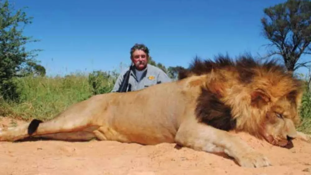 Африкада аңға шыққан миллионерді пілдер таптап өлтірді