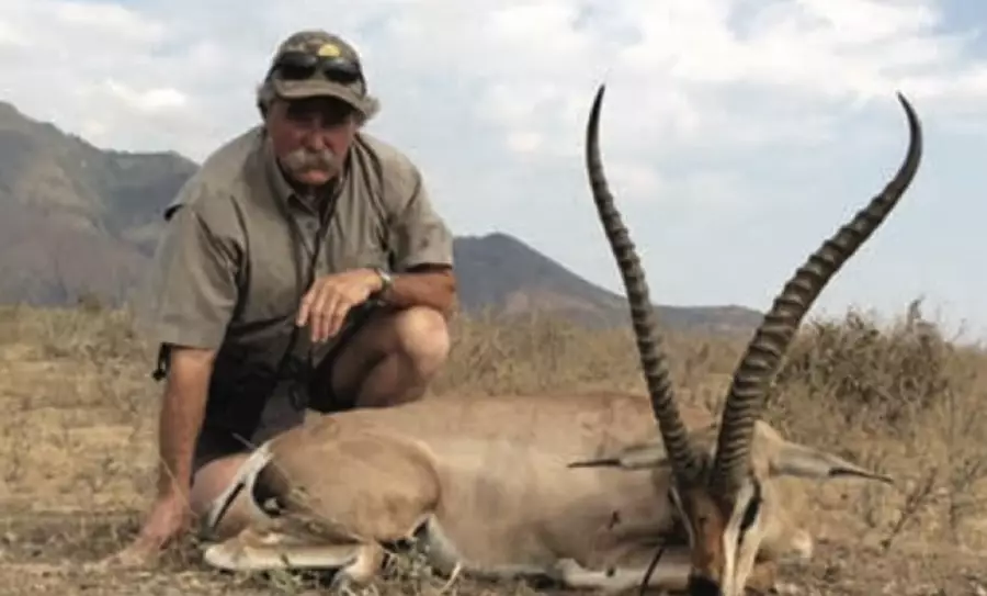 Аң аулауға шыққан миллионерді пілдер таптап, мерт қылды