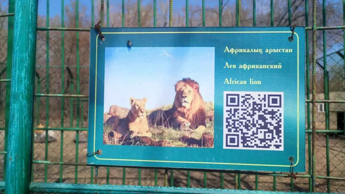 Сотрудники биоцентра в Семее обратились к горожанам