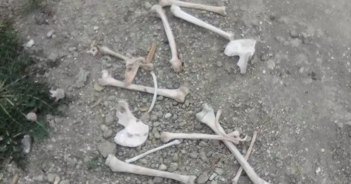  Человеческие останки нашли на стройке больницы в ВКО: что произошло 