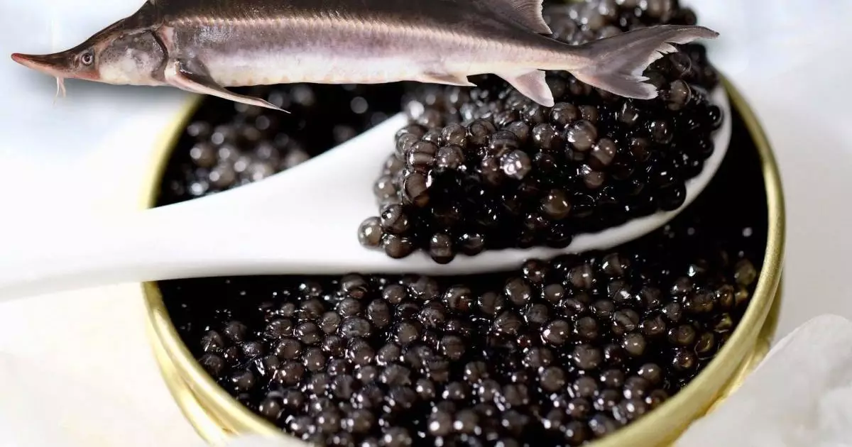  За покупку осетровой рыбы и икры грозит уголовная ответственность 