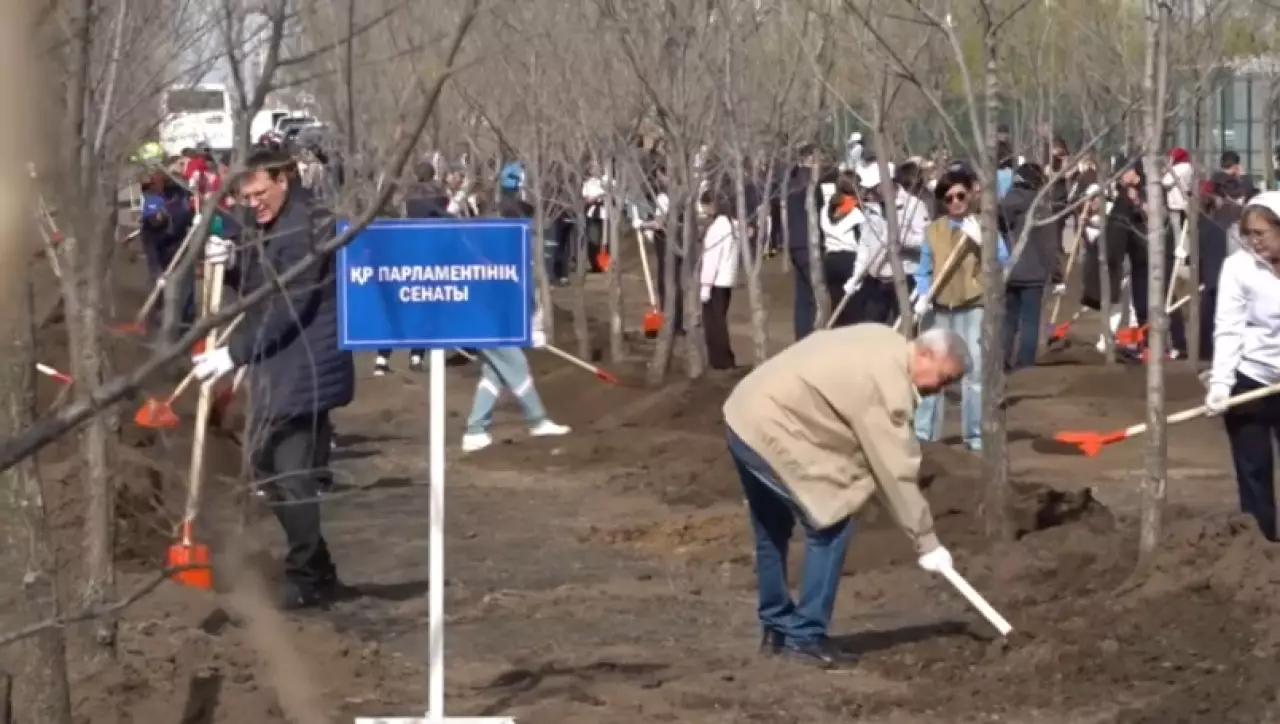 Депутаты Сената внесли вклад в озеленение столицы