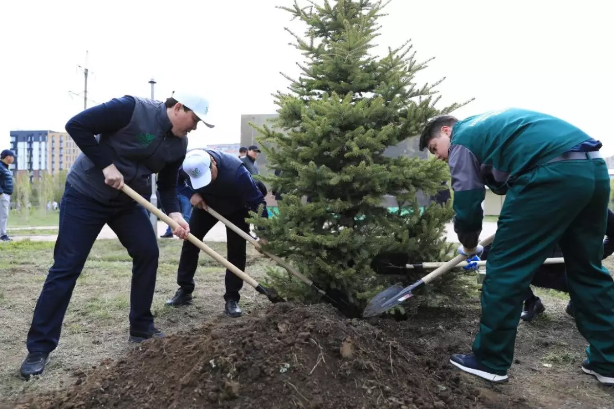 Ақтөбе өңірі республикалық ағаш отырғызу акциясына қолдау білдірді