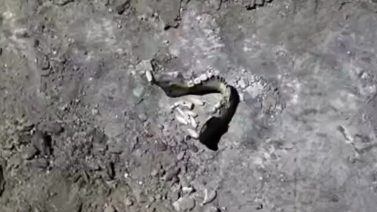 Шашылған адам сүйектері: ШҚО-дағы жағдай елді шошытты