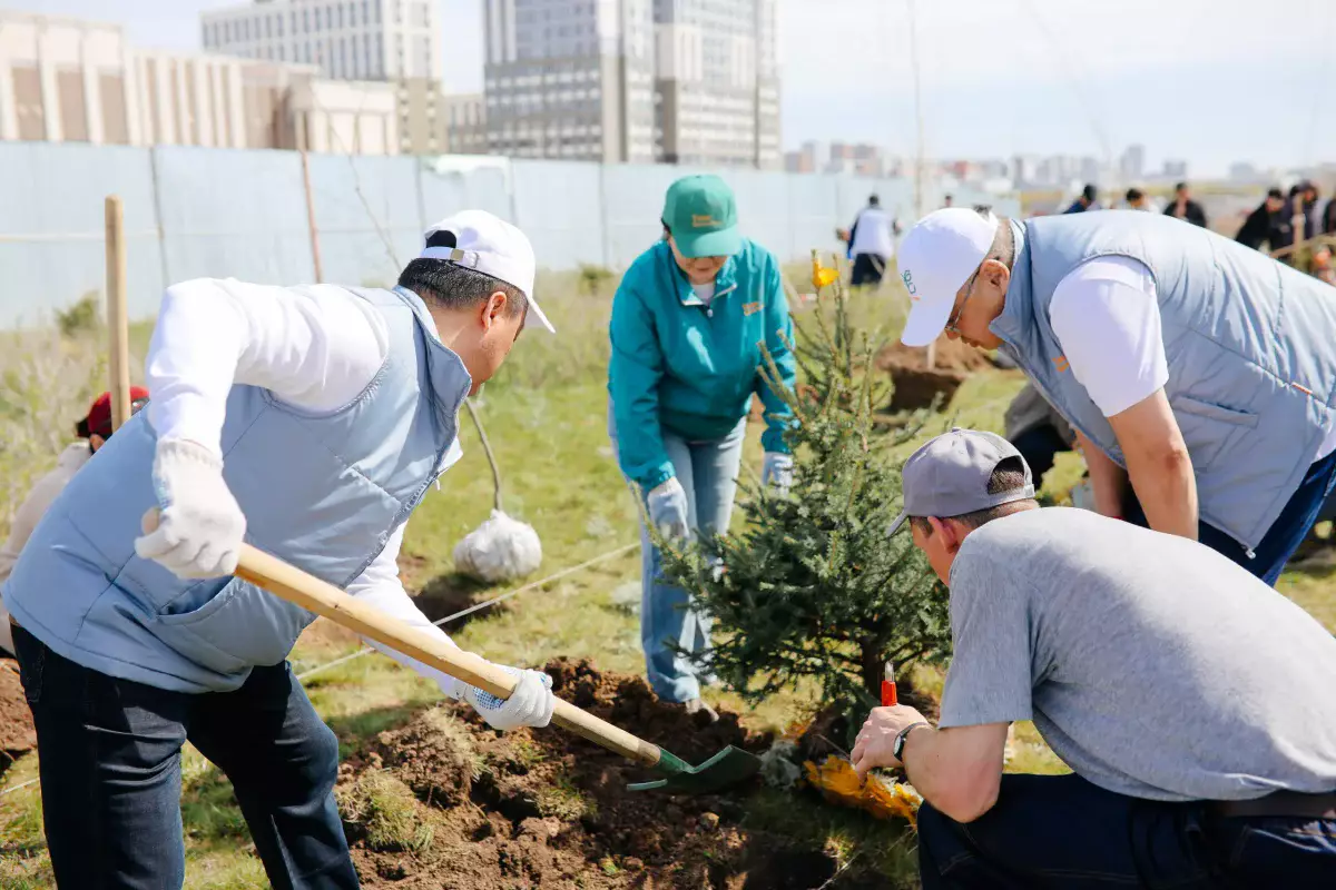 Елордада дәрігерлер, коммуналдық қызметкерлер және ұстаздар бірлесіп ағаш отырғызды
