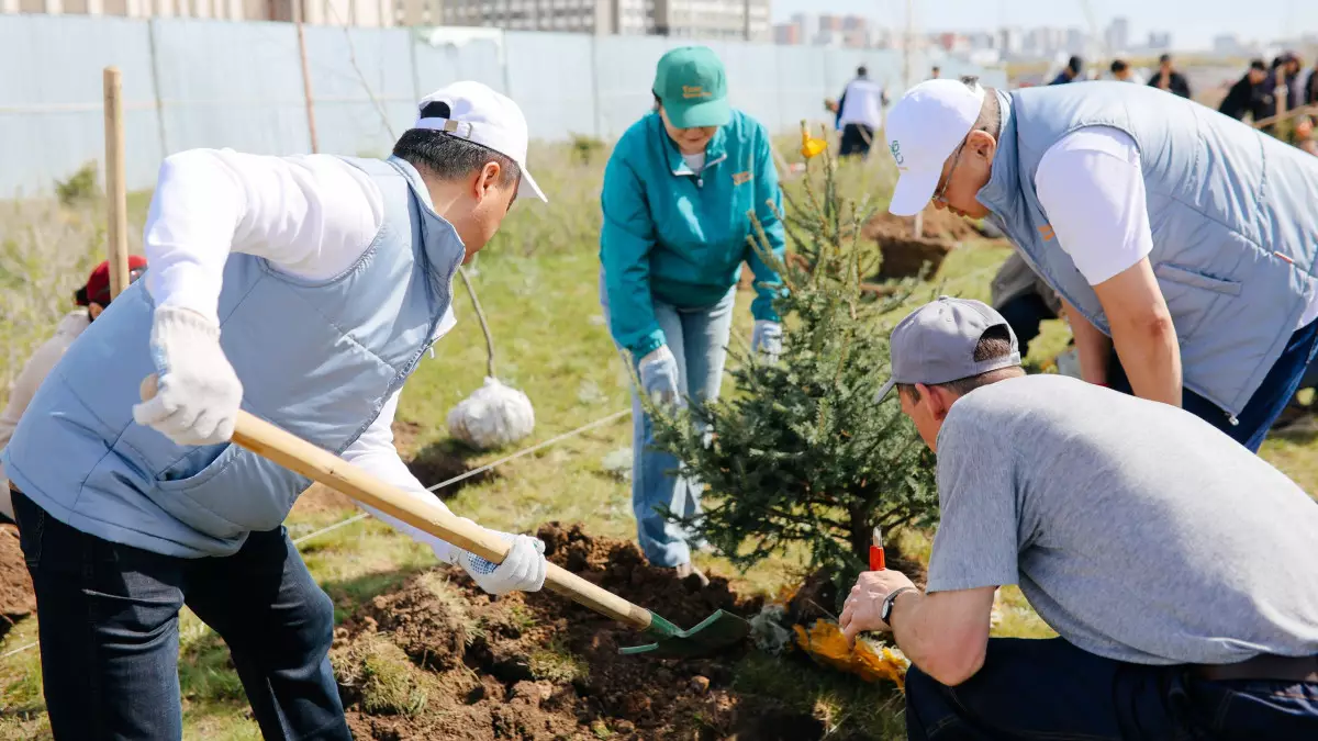 Елордада дәрігерлер, коммуналдық қызметкерлер және ұстаздар бірлесіп ағаш отырғызды