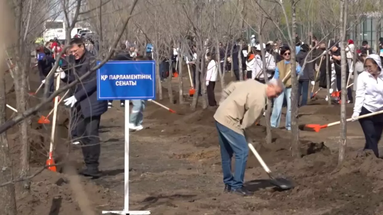 Сенаторлар сенбілікке шықты