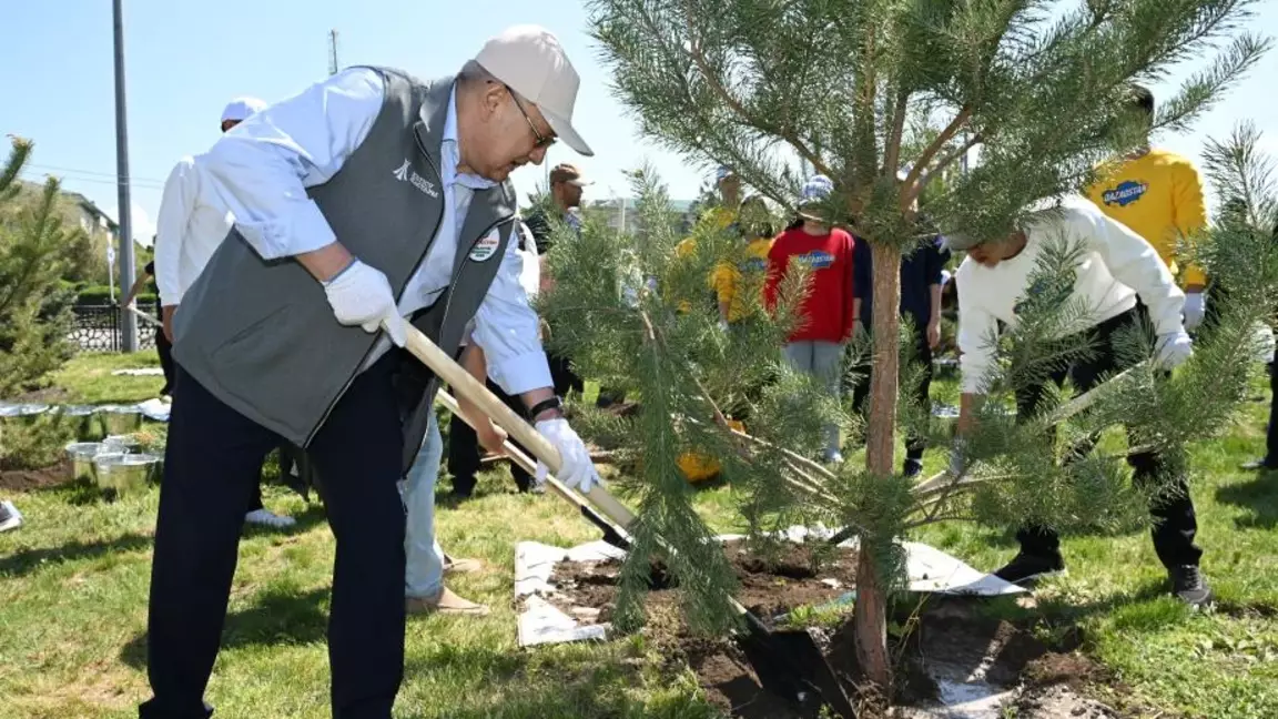 «Жасыл желек» республикалық акциясы: Жетісуда 8 мыңнан астам ағаш отырғызылды