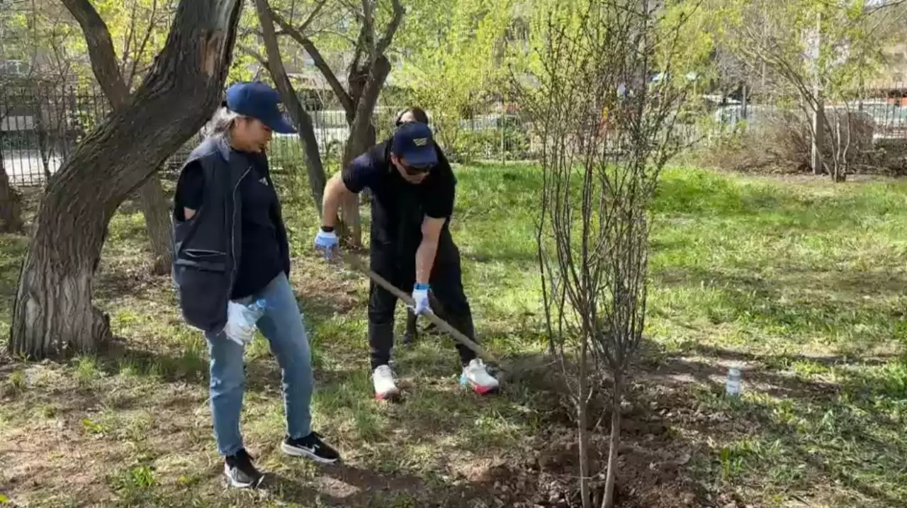 «Таза Қазақстан»: Хабарлықтар экологиялық акцияға үлес қосты