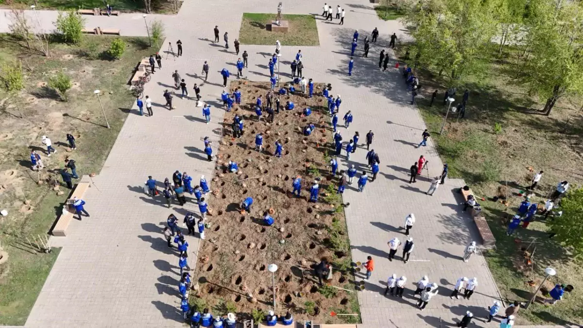 Ұлытау облысында бір күнде мың жарым ағаш егілді