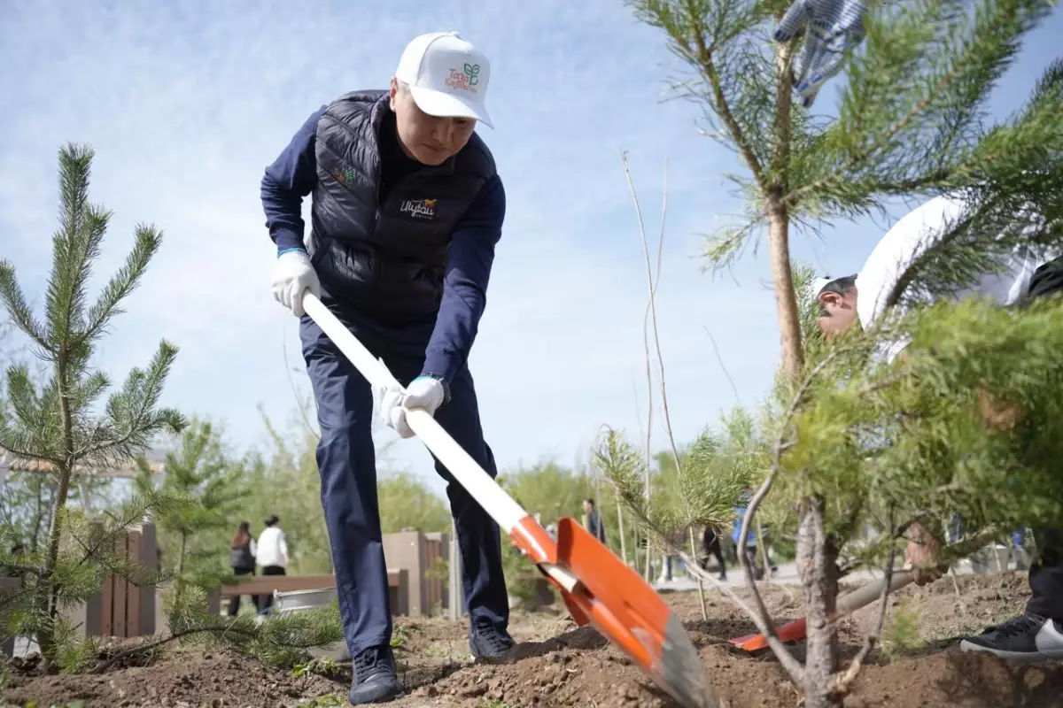 Ұлытау облысында экологиялық акция: Бір күнде 1550 түп ағаш егілді
