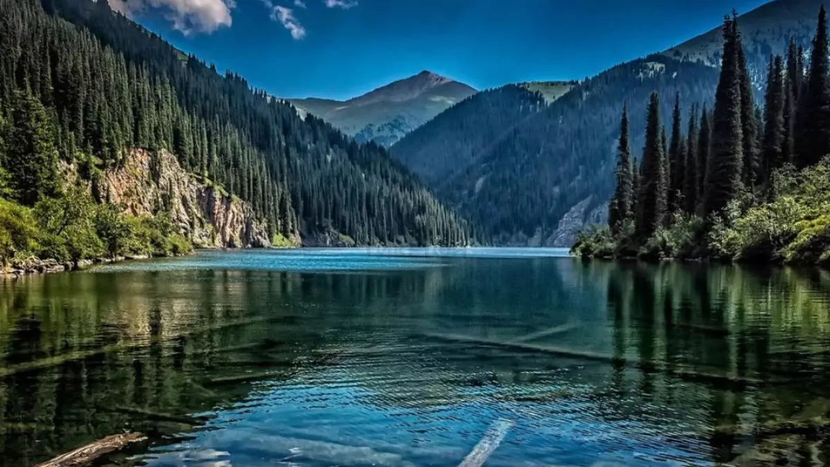 Көлсайда автобус жартастан құлап кете жаздады