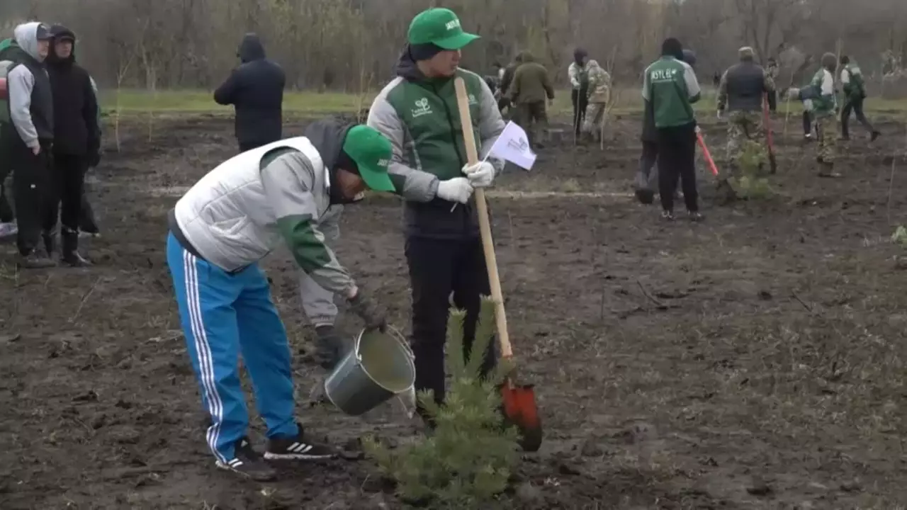 БҚО-да  «Таза Қазақстан» акциясын қолдаушылар қатары артып келеді