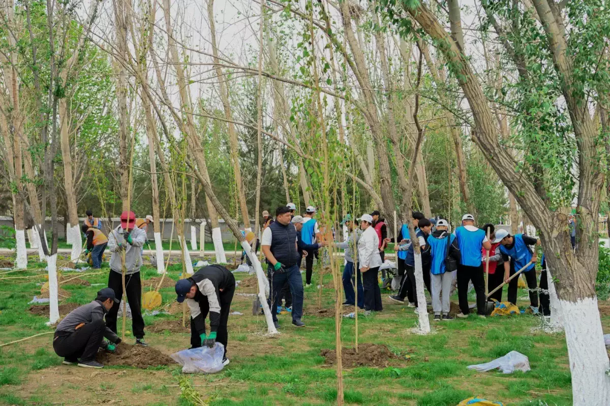 Қызылорда облысында 12 мың ағаш егілді