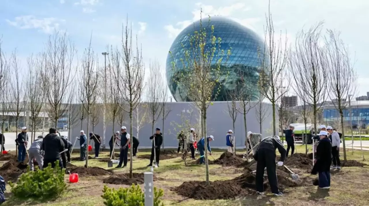 130 деревьев высадили сотрудники аппарата Правительства