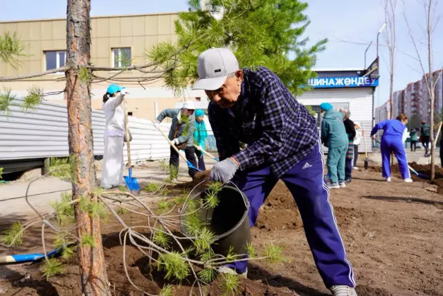 Астаналықтар тазалық үшін бірікті: 20 мыңнан астам адам акцияға қатысты