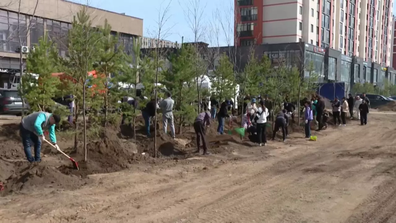 «AMANAT» партиясының белсенділері сенбілікке қатысты