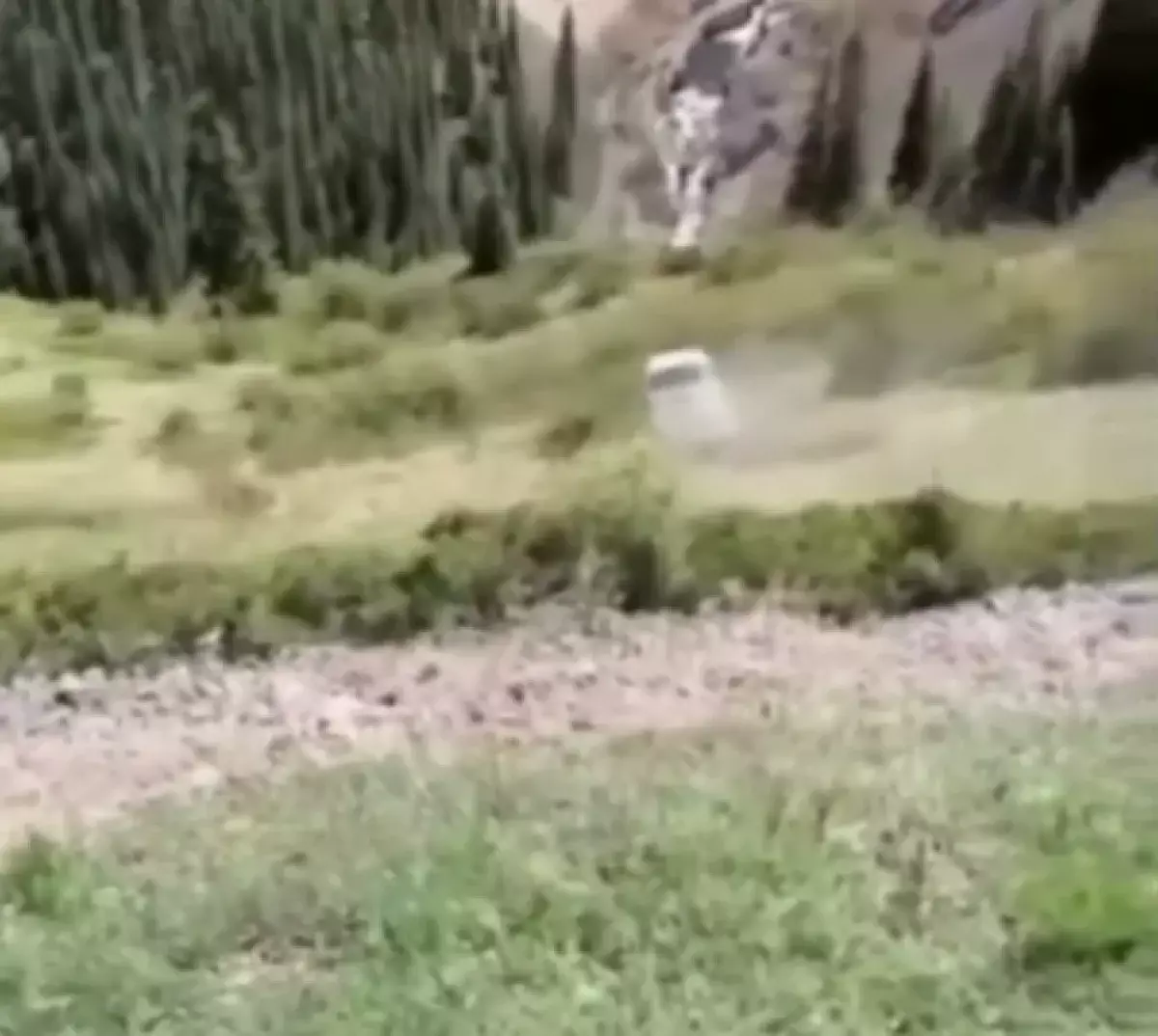 Микроавтобус сорвался со склона в Кольсае