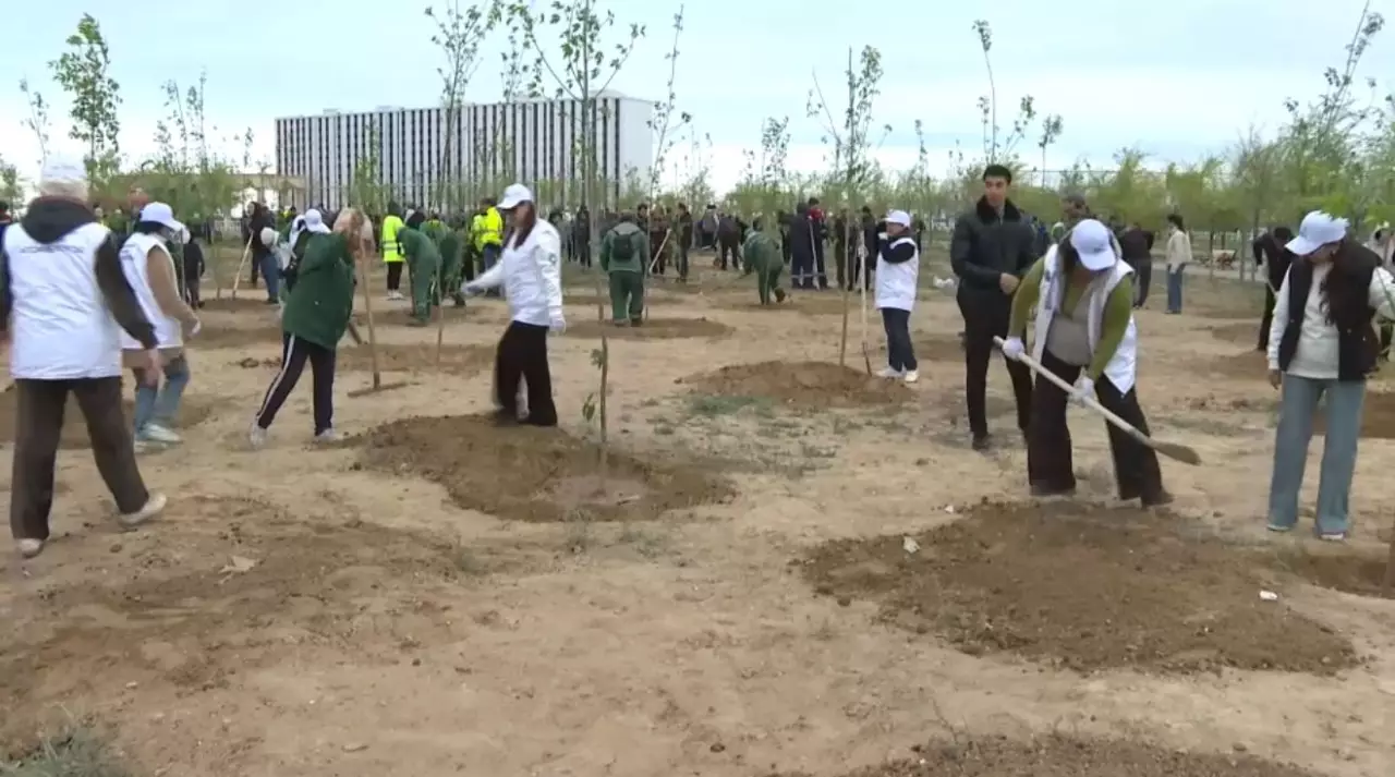 Маңғыстау облысында бес мың тал егілді