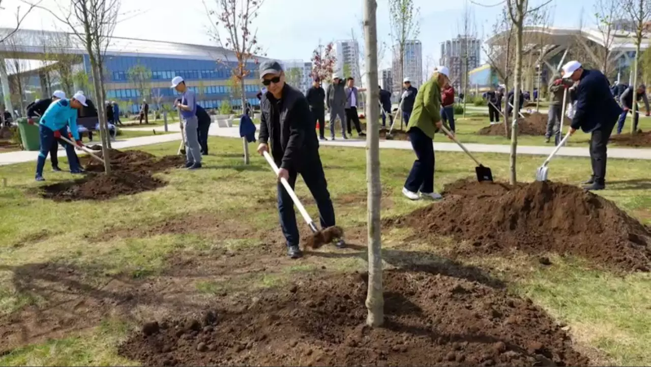 Үкімет үйінің қызметкерлері сенбілікке қатысты