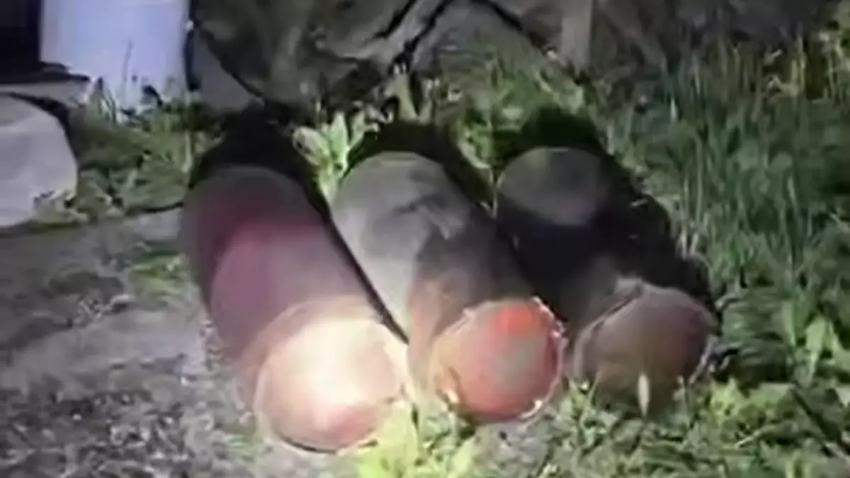 Взрыв едва не произошёл из-за пожара под Алматы