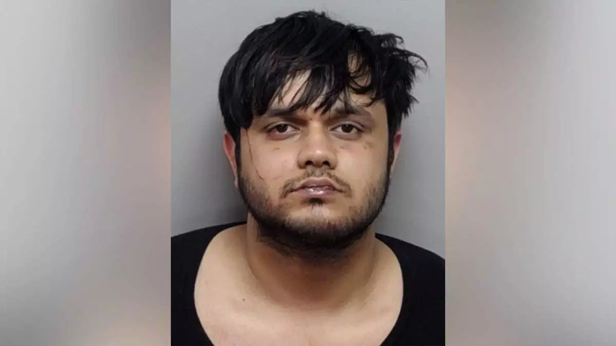 Нелегальный иммигрант обвиняется в укусе лица трёхлетней девочки в парке Техаса, ICE направил запрос на задержание после ареста, сообщает DHS.