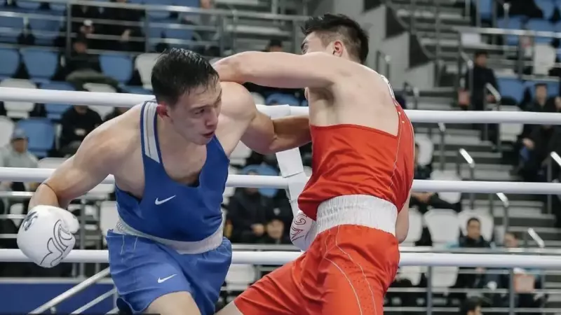 Бокстан төрт отандасымыз әлем кубогының финалында жұдырықтасады