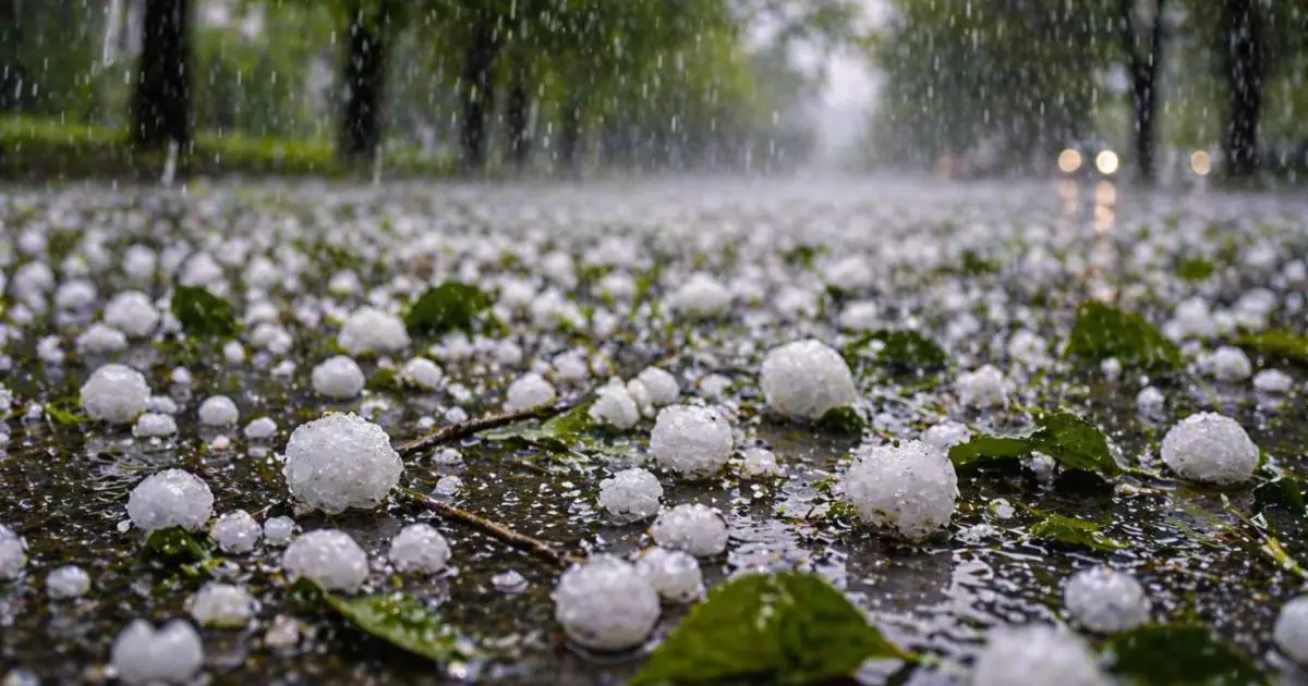  Прогноз погоды на 26 апреля: грозы, град и шквальный ветер ожидаются в Казахстане 